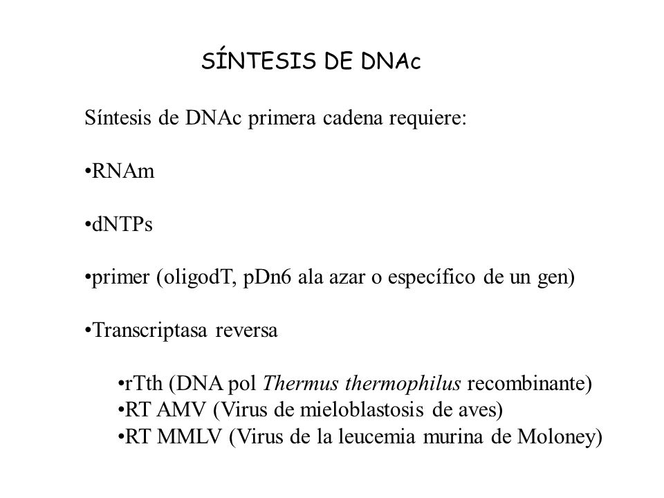 SÍNTESIS DE DNAc Síntesis de DNAc primera cadena requiere: RNAm. dNTPs. primer (oligodT, pDn6 ala azar o específico de un gen)