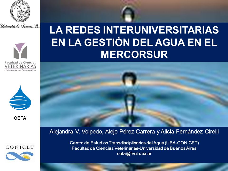 la REDES INTERUNIVERSITARIAS EN LA GESTIÓN DEL AGUA EN EL MERCORSUR