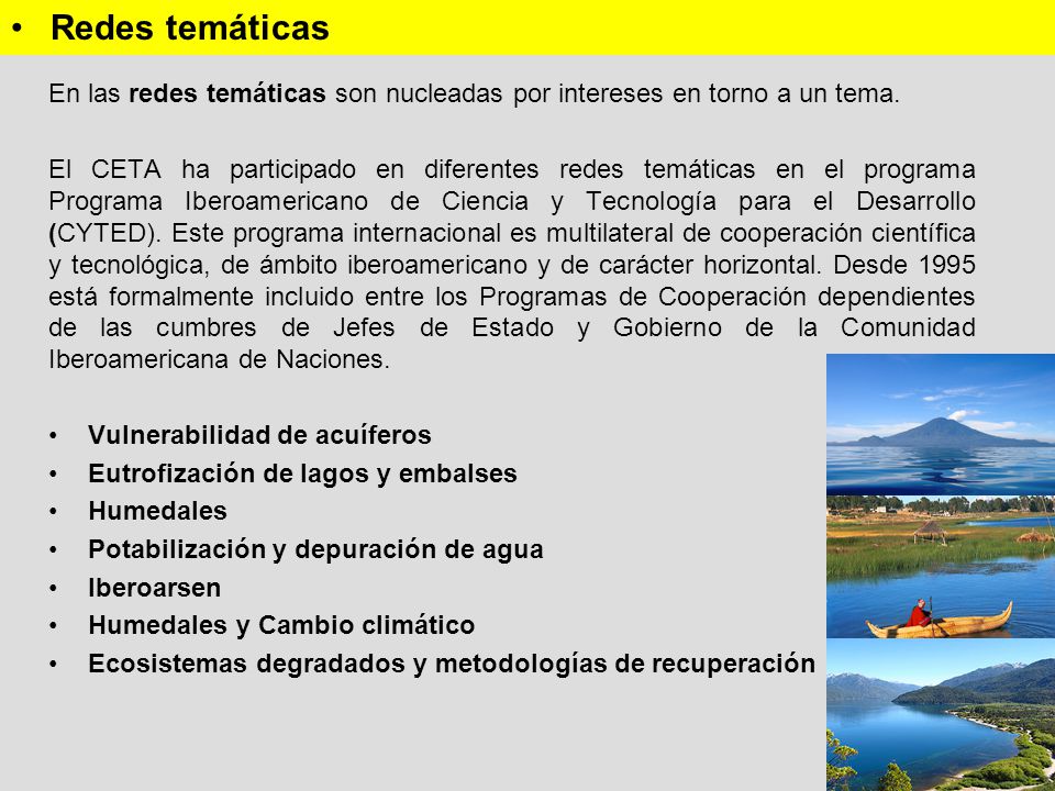 Redes temáticas En las redes temáticas son nucleadas por intereses en torno a un tema.