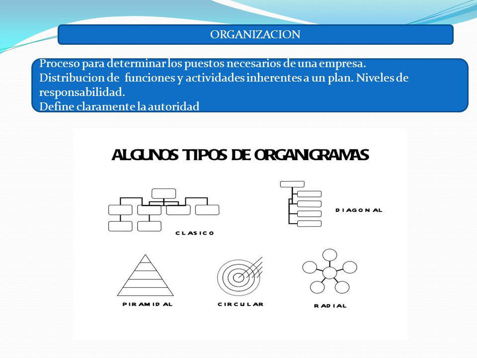 ORGANIZACION Proceso para determinar los puestos necesarios de una empresa.