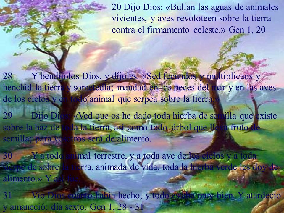 20 Dijo Dios: «Bullan las aguas de animales vivientes, y aves revoloteen sobre la tierra contra el firmamento celeste.» Gen 1, 20