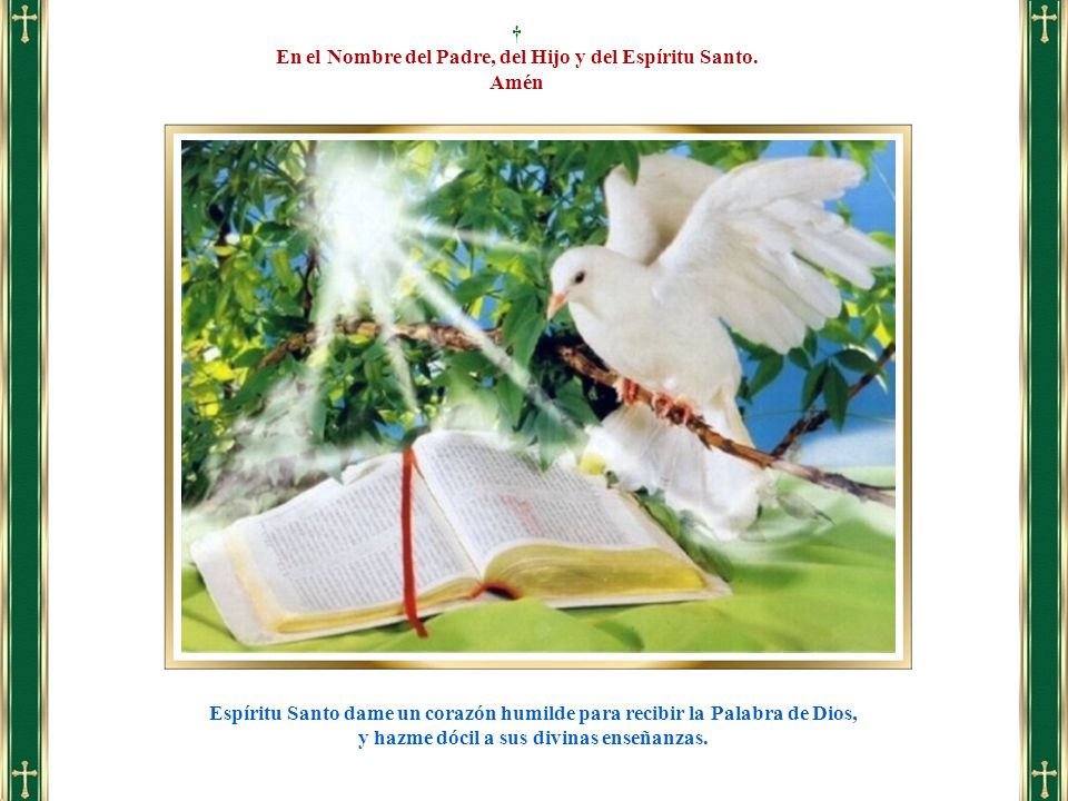 En el Nombre del Padre, del Hijo y del Espíritu Santo. Amén
