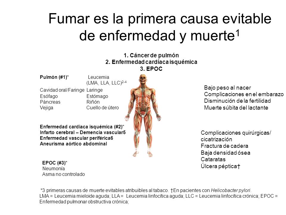 Fumar es la primera causa evitable de enfermedad y muerte1