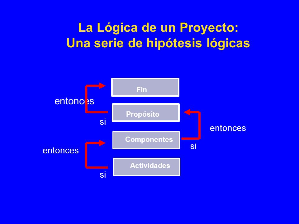 La Lógica de un Proyecto: Una serie de hipótesis lógicas