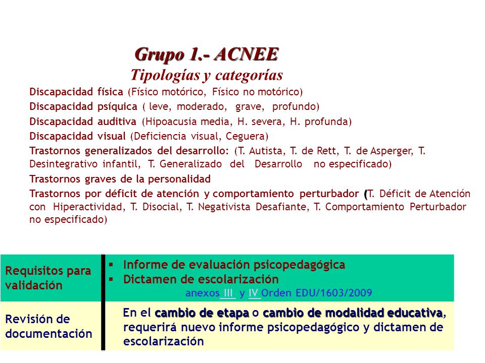 Grupo 1.- ACNEE Tipologías y categorías