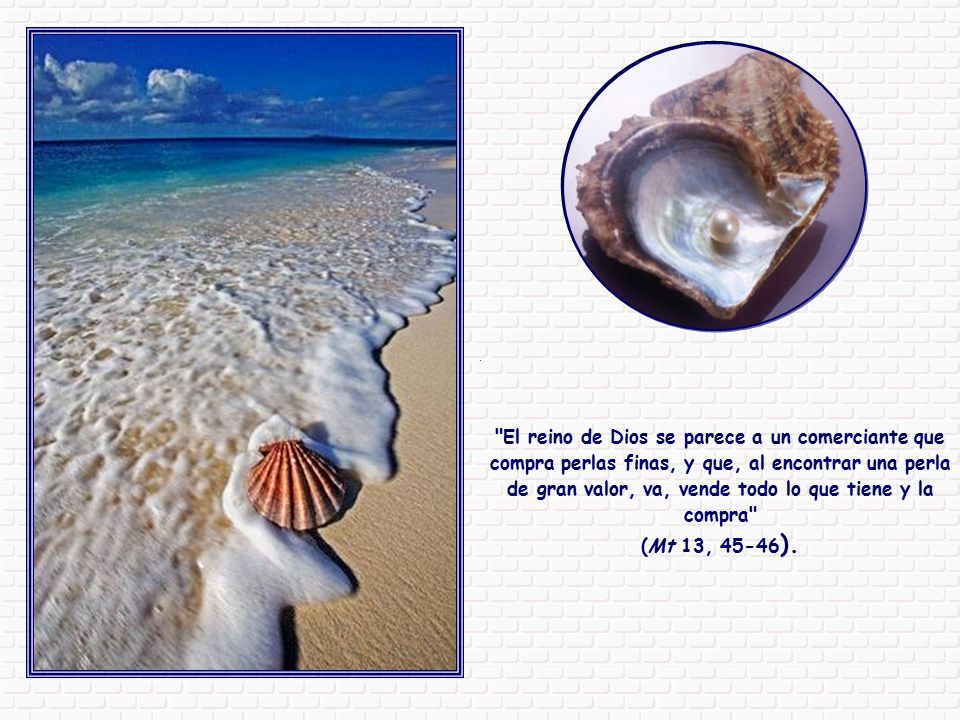 El reino de Dios se parece a un comerciante que compra perlas finas, y que, al encontrar una perla de gran valor, va, vende todo lo que tiene y la compra
