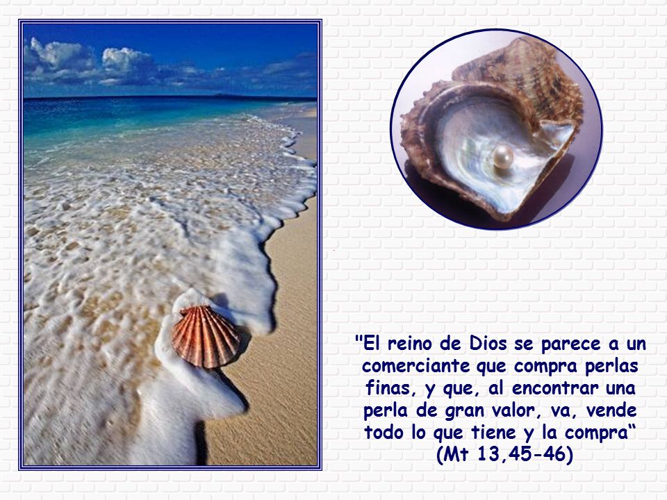 El reino de Dios se parece a un comerciante que compra perlas finas, y que, al encontrar una perla de gran valor, va, vende todo lo que tiene y la compra