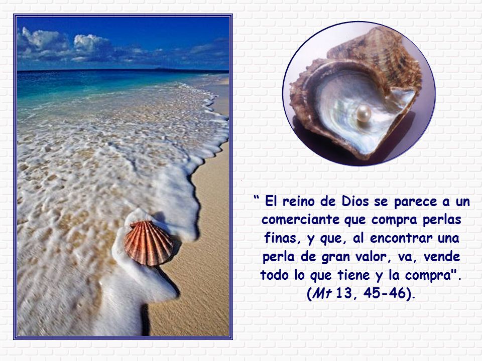 El reino de Dios se parece a un comerciante que compra perlas finas, y que, al encontrar una perla de gran valor, va, vende todo lo que tiene y la compra .