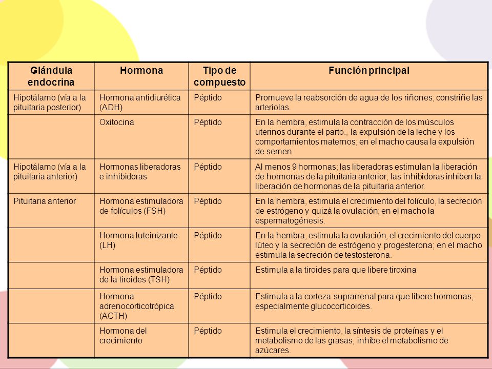 Glándula endocrina Hormona Tipo de compuesto Función principal