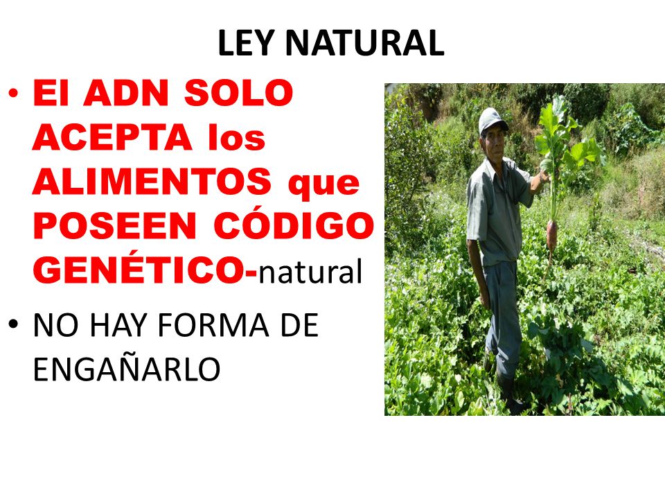 LEY NATURAL El ADN SOLO ACEPTA los ALIMENTOS que POSEEN CÓDIGO GENÉTICO-natural.