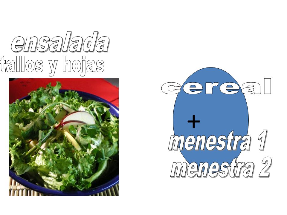 ensalada tallos y hojas + cereal menestra 1 menestra 2
