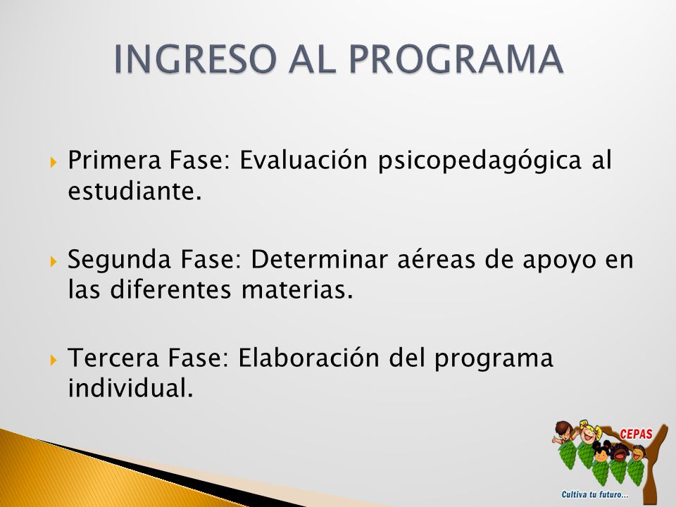 INGRESO AL PROGRAMA Primera Fase: Evaluación psicopedagógica al estudiante. Segunda Fase: Determinar aéreas de apoyo en las diferentes materias.