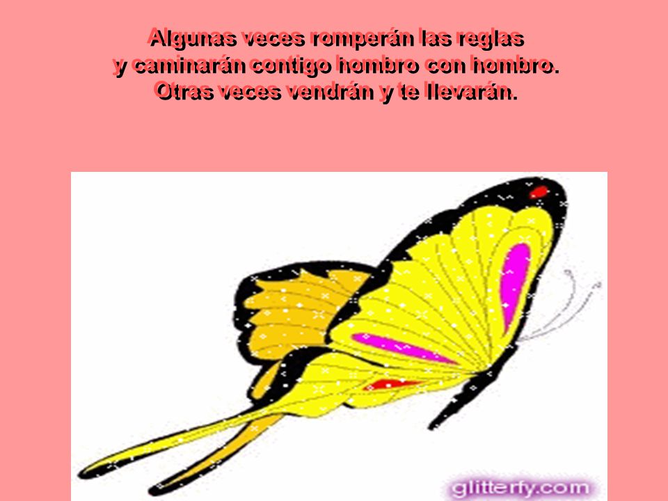 Algunas veces romperán las reglas y caminarán contigo hombro con hombro.
