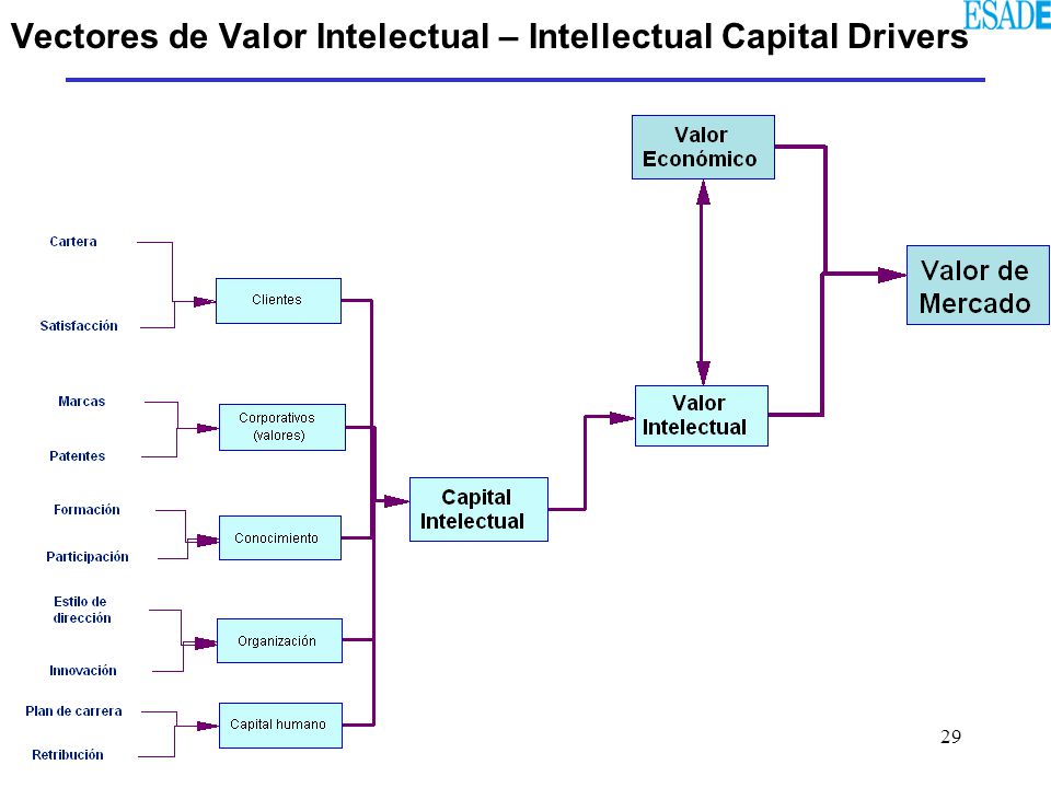 Vectores de Valor Intelectual – Intellectual Capital Drivers