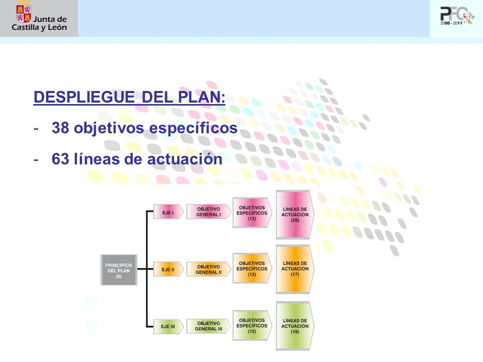DESPLIEGUE DEL PLAN: 38 objetivos específicos 63 líneas de actuación