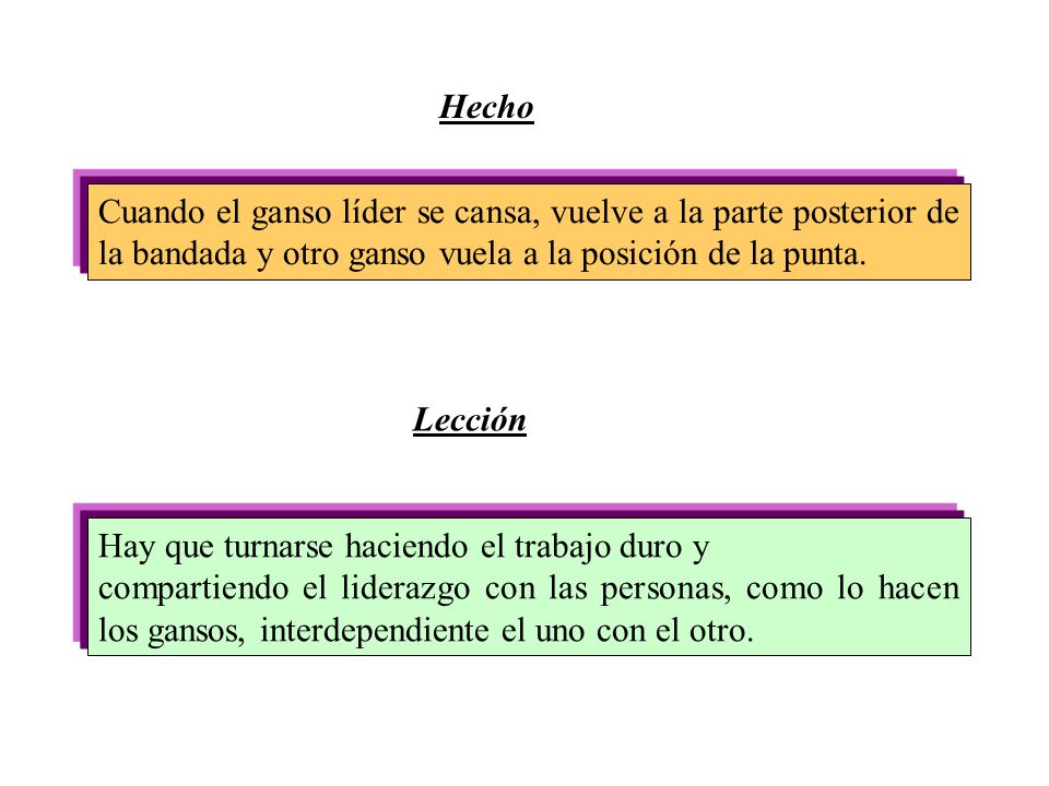 Hecho Cuando el ganso líder se cansa, vuelve a la parte posterior de la bandada y otro ganso vuela a la posición de la punta.