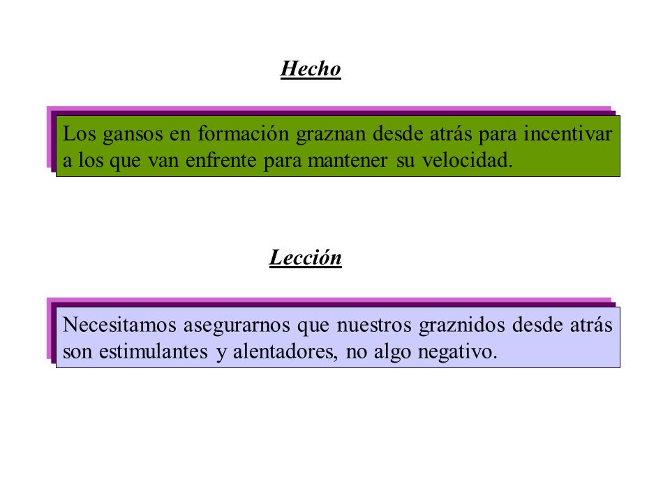 Hecho Los gansos en formación graznan desde atrás para incentivar a los que van enfrente para mantener su velocidad.