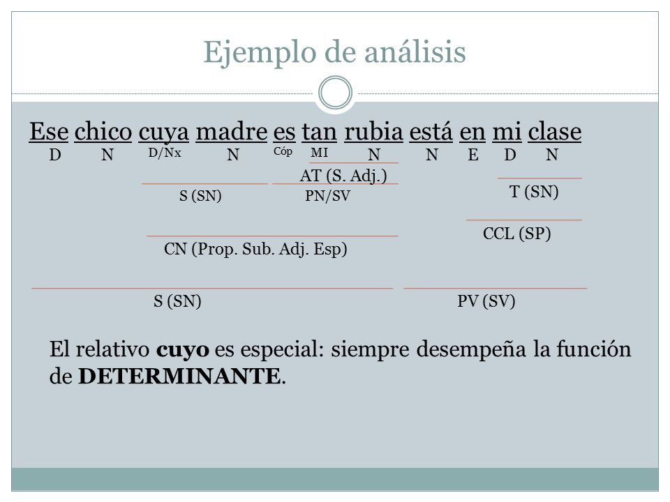 Ejemplo de análisis Ese chico cuya madre es tan rubia está en mi clase El relativo cuyo es especial: siempre desempeña la función de DETERMINANTE.