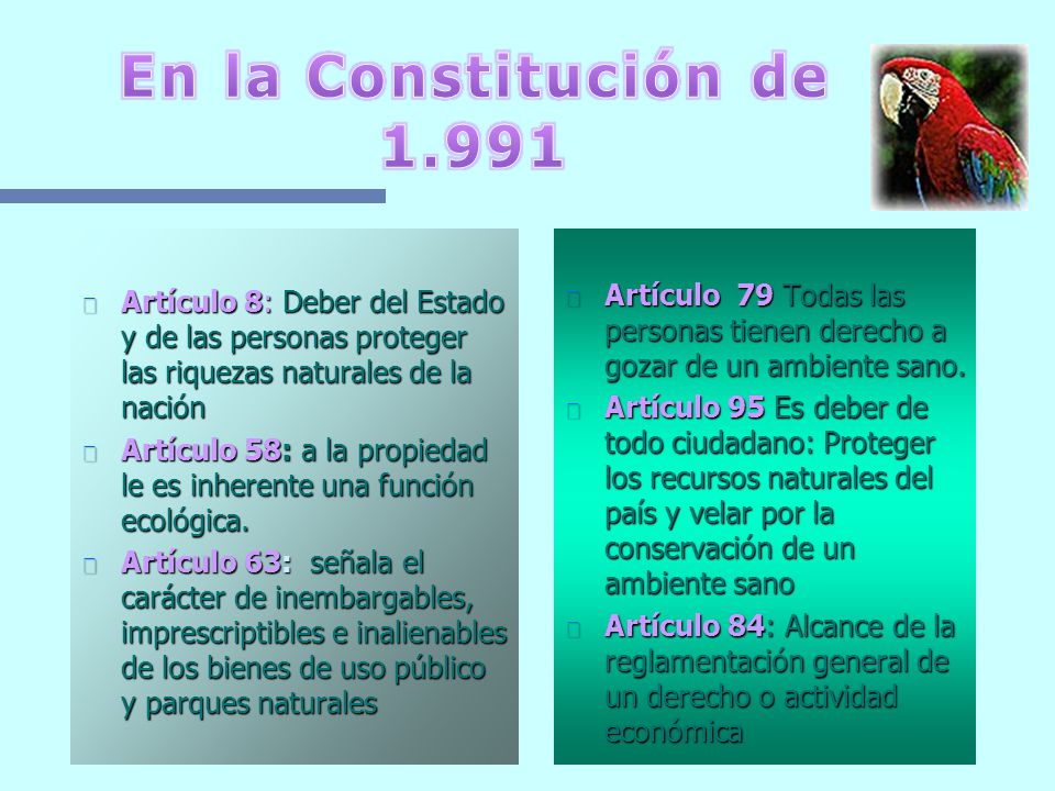 En la Constitución de Artículo 8: Deber del Estado y de las personas proteger las riquezas naturales de la nación.