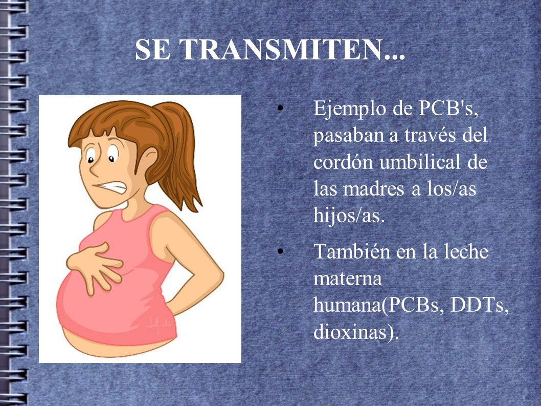 SE TRANSMITEN... Ejemplo de PCB s, pasaban a través del cordón umbilical de las madres a los/as hijos/as.