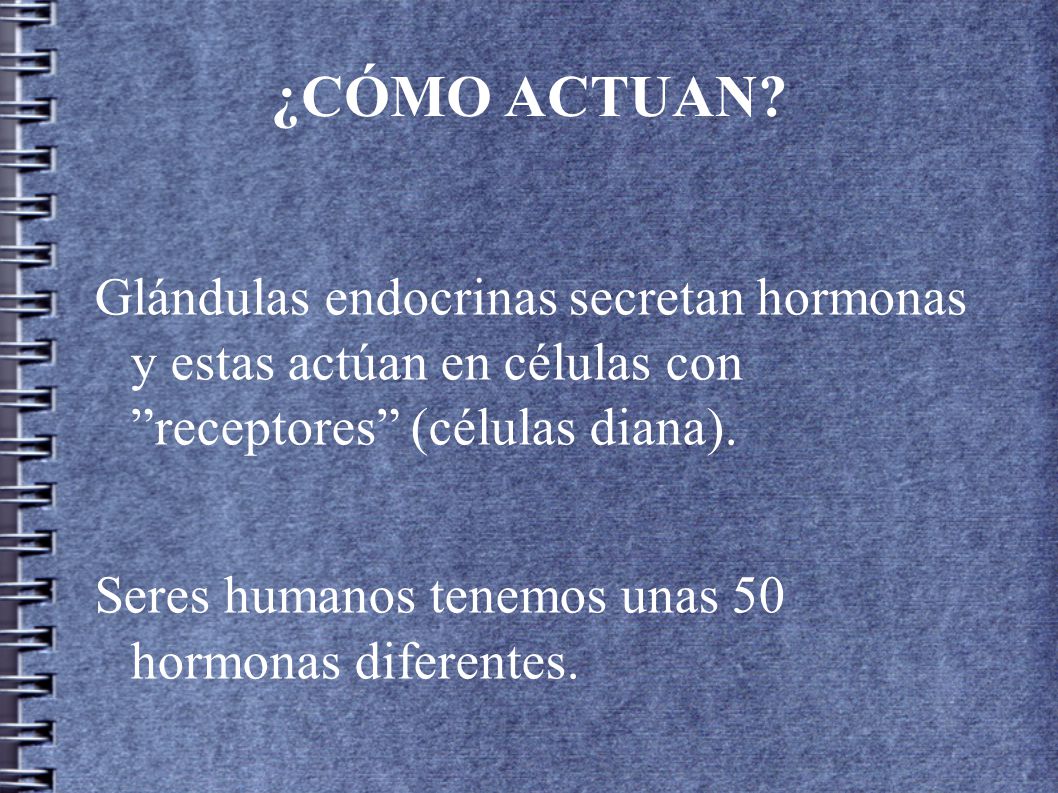 ¿CÓMO ACTUAN Glándulas endocrinas secretan hormonas y estas actúan en células con receptores (células diana).