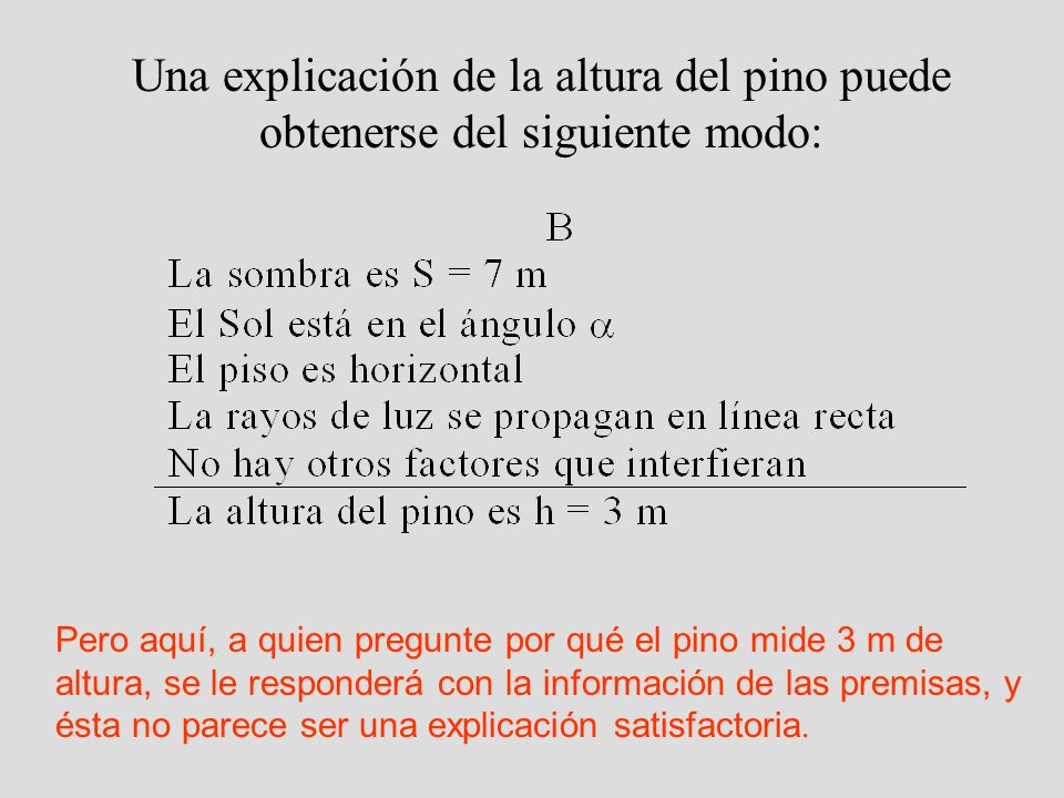 Una explicación de la altura del pino puede obtenerse del siguiente modo: