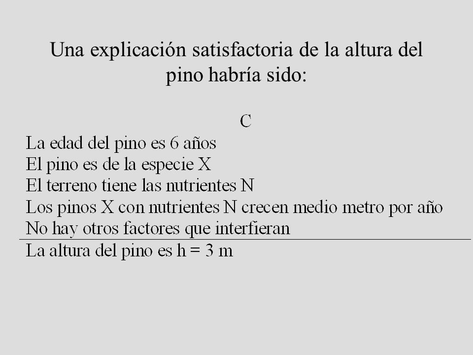Una explicación satisfactoria de la altura del pino habría sido: