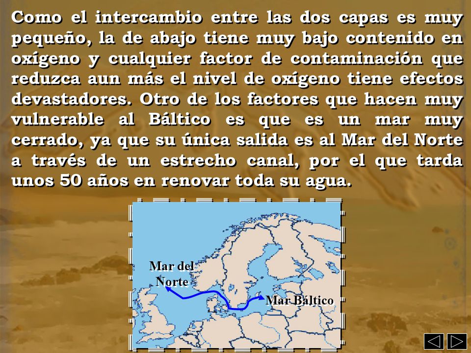 Como el intercambio entre las dos capas es muy pequeño, la de abajo tiene muy bajo contenido en oxígeno y cualquier factor de contaminación que reduzca aun más el nivel de oxígeno tiene efectos devastadores. Otro de los factores que hacen muy vulnerable al Báltico es que es un mar muy cerrado, ya que su única salida es al Mar del Norte a través de un estrecho canal, por el que tarda unos 50 años en renovar toda su agua.