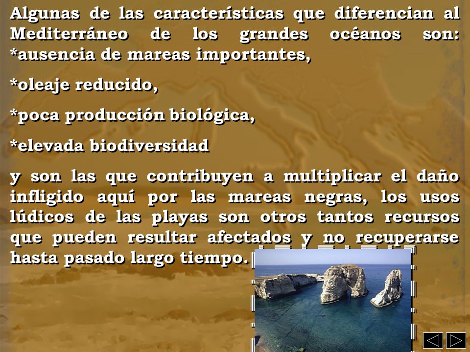 Algunas de las características que diferencian al Mediterráneo de los grandes océanos son: *ausencia de mareas importantes,