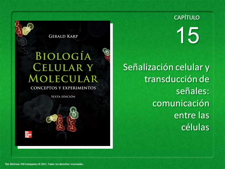 CAPÍTULO 15 Señalización celular y transducción de señales: comunicación entre las células