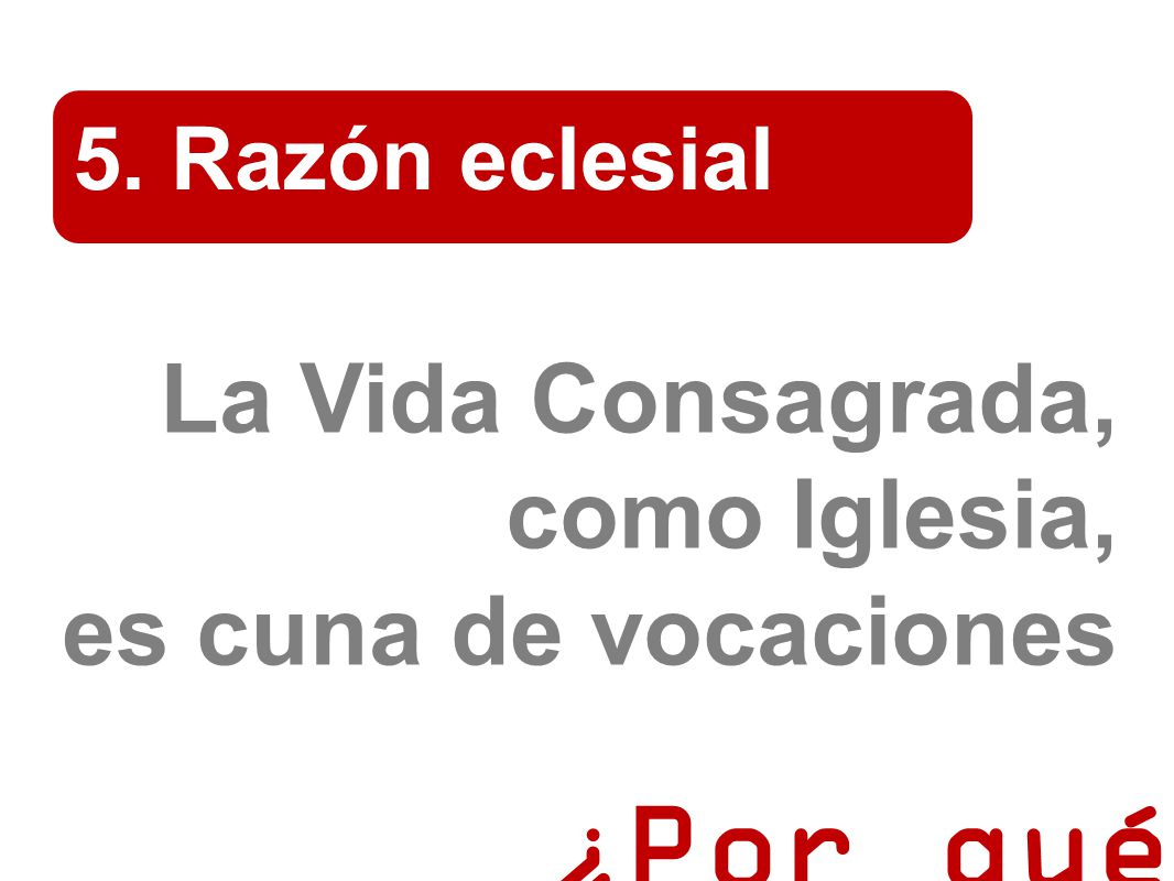 ¿Por qué La Vida Consagrada, como Iglesia, es cuna de vocaciones