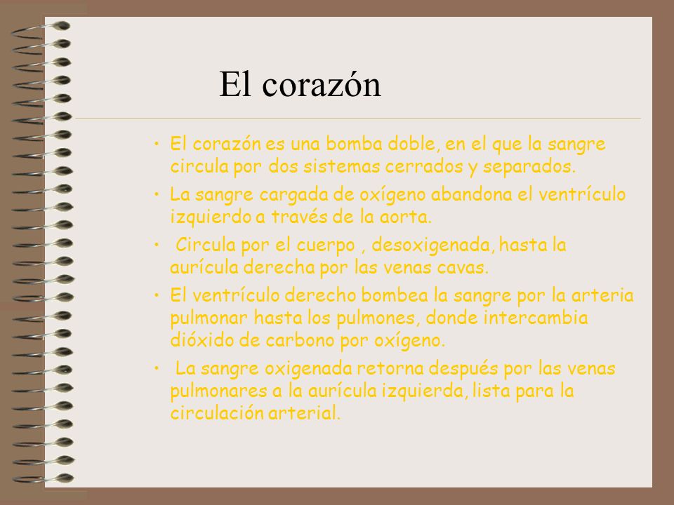 El corazón El corazón es una bomba doble, en el que la sangre circula por dos sistemas cerrados y separados.
