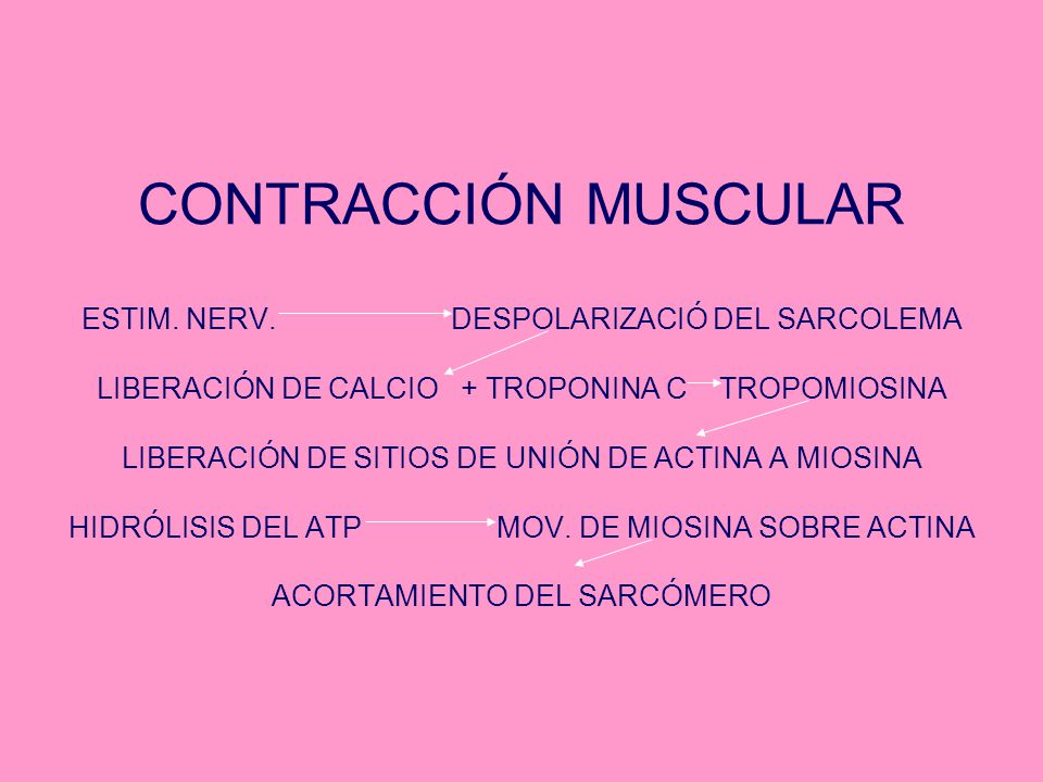 CONTRACCIÓN MUSCULAR ESTIM. NERV