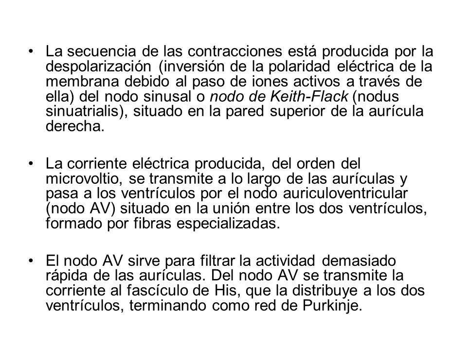 La secuencia de las contracciones está producida por la despolarización (inversión de la polaridad eléctrica de la membrana debido al paso de iones activos a través de ella) del nodo sinusal o nodo de Keith-Flack (nodus sinuatrialis), situado en la pared superior de la aurícula derecha.