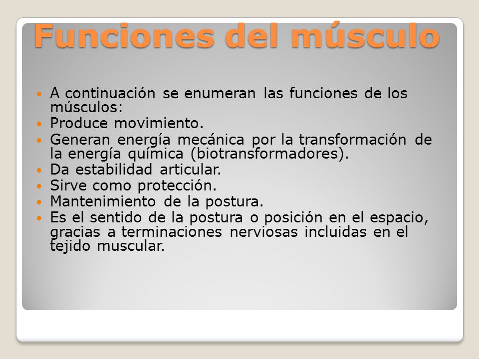Funciones del músculo A continuación se enumeran las funciones de los músculos: Produce movimiento.