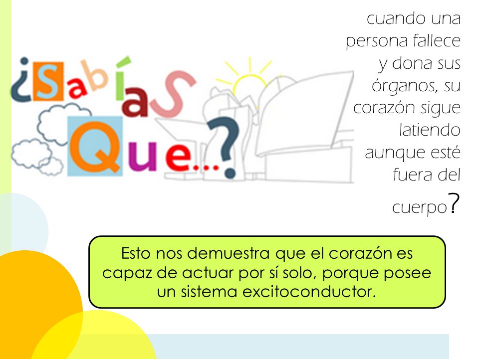 cuando una persona fallece y dona sus órganos, su corazón sigue latiendo aunque esté fuera del cuerpo