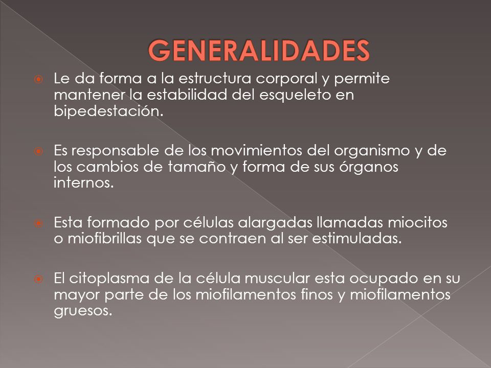 GENERALIDADES Le da forma a la estructura corporal y permite mantener la estabilidad del esqueleto en bipedestación.
