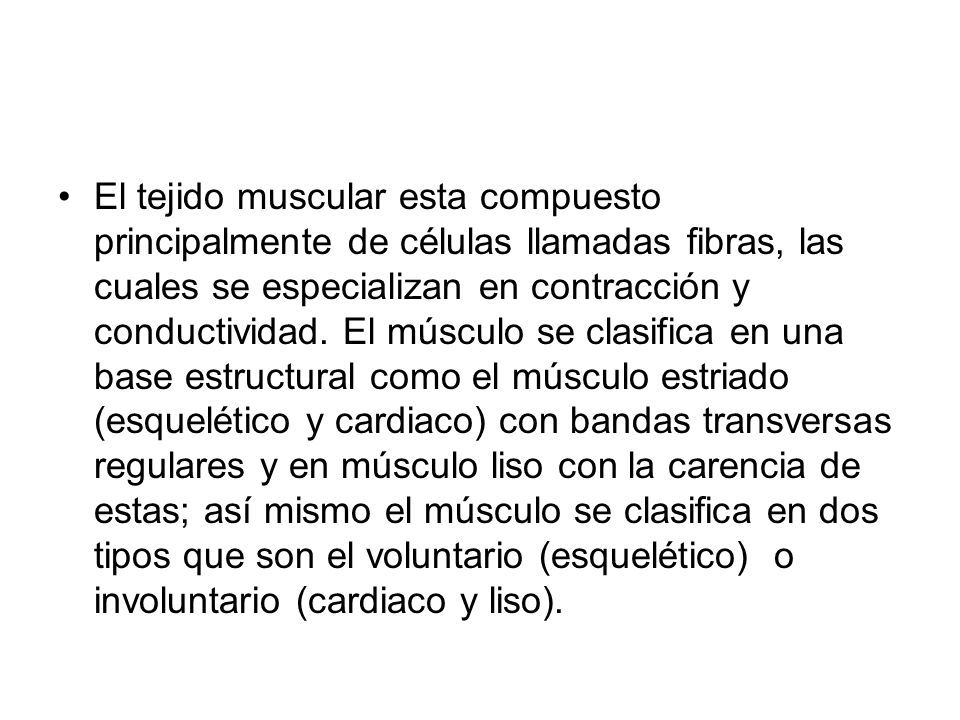 El tejido muscular esta compuesto principalmente de células llamadas fibras, las cuales se especializan en contracción y conductividad.