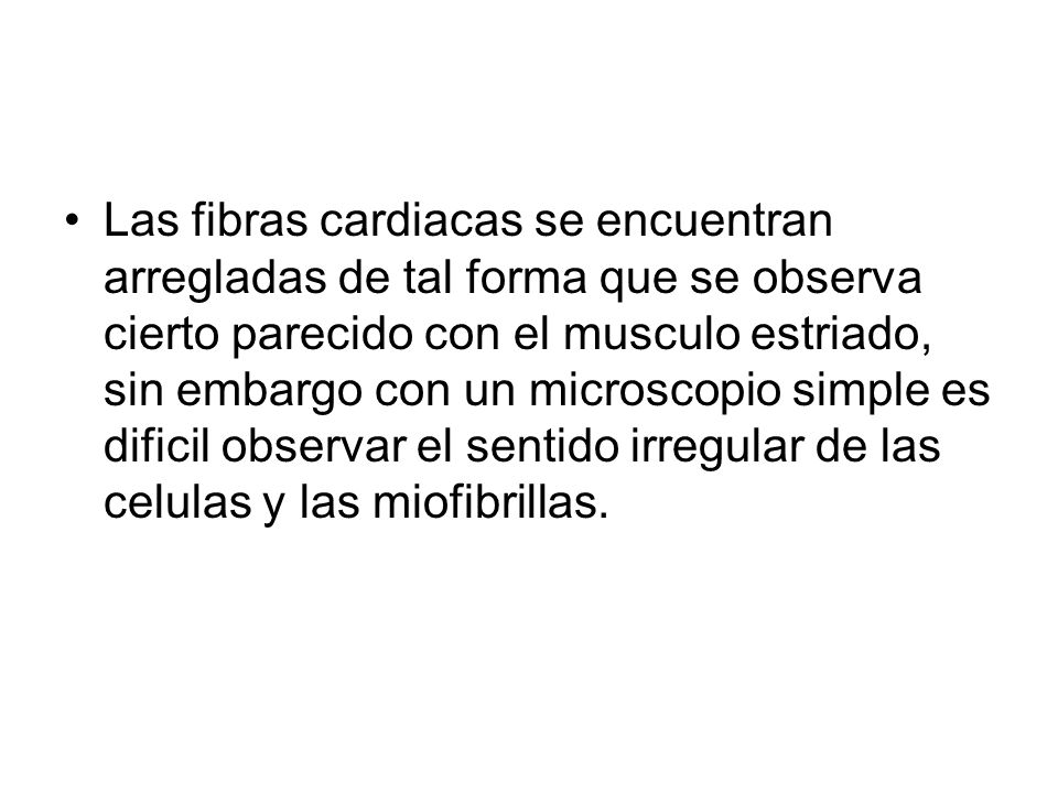 Las fibras cardiacas se encuentran arregladas de tal forma que se observa cierto parecido con el musculo estriado, sin embargo con un microscopio simple es dificil observar el sentido irregular de las celulas y las miofibrillas.