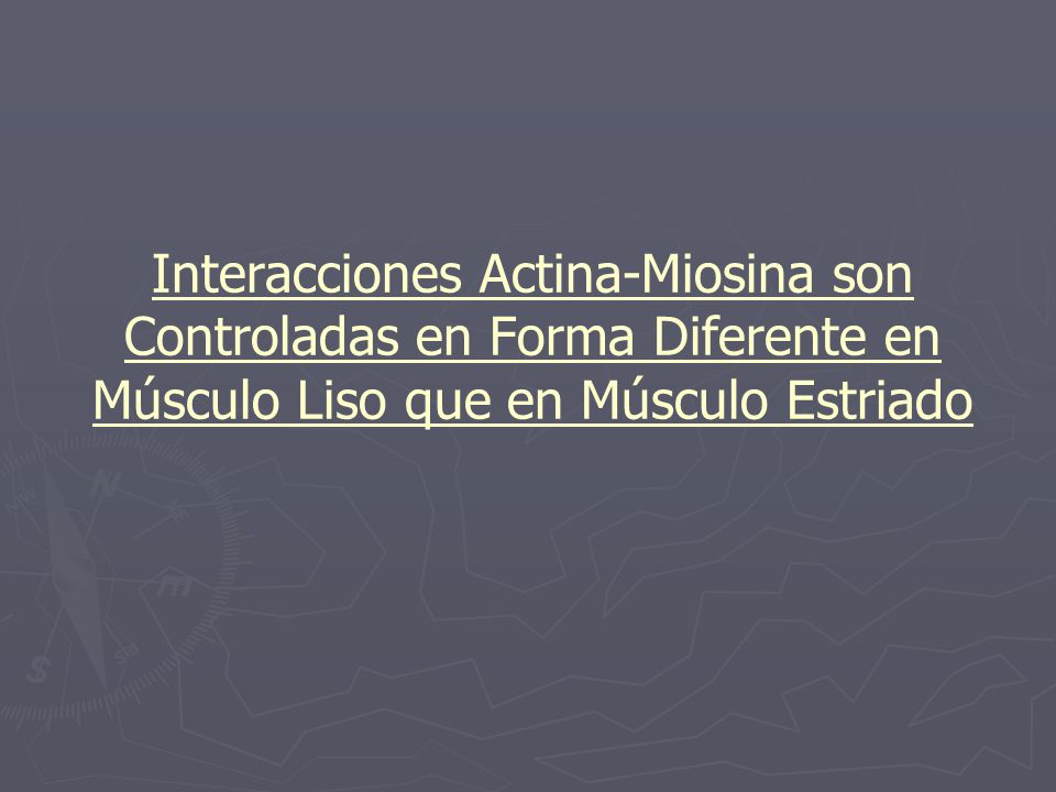 Interacciones Actina-Miosina son Controladas en Forma Diferente en Músculo Liso que en Músculo Estriado
