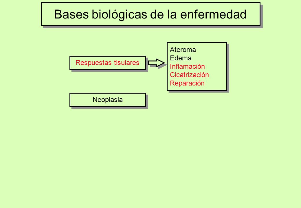 Bases biológicas de la enfermedad