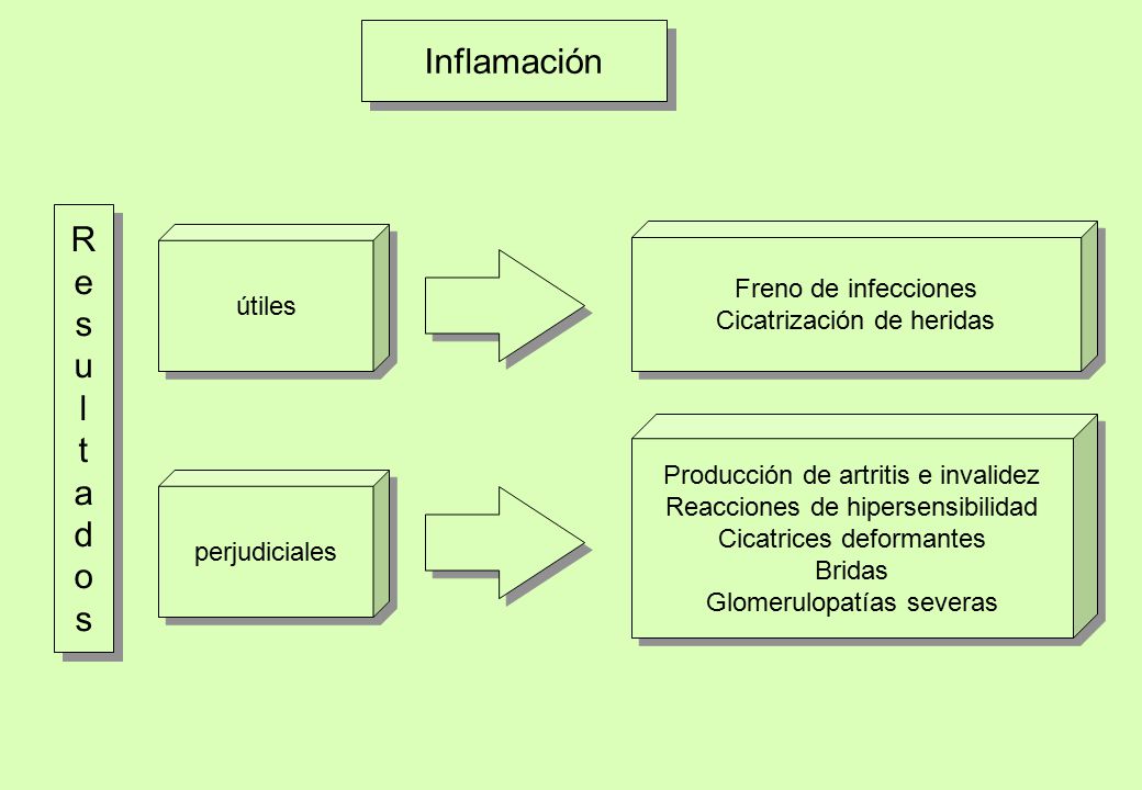 Inflamación R e s u l t a d o Freno de infecciones útiles