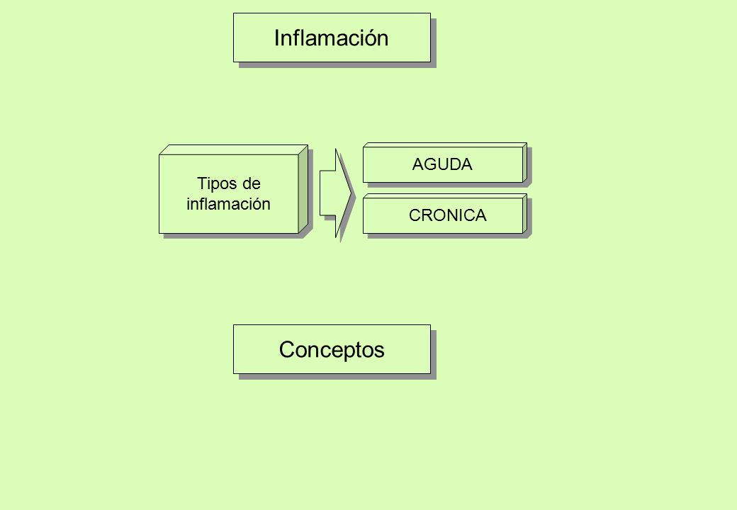 Inflamación Tipos de inflamación AGUDA CRONICA Conceptos