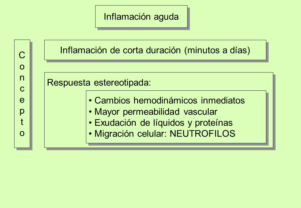 Inflamación de corta duración (minutos a días)