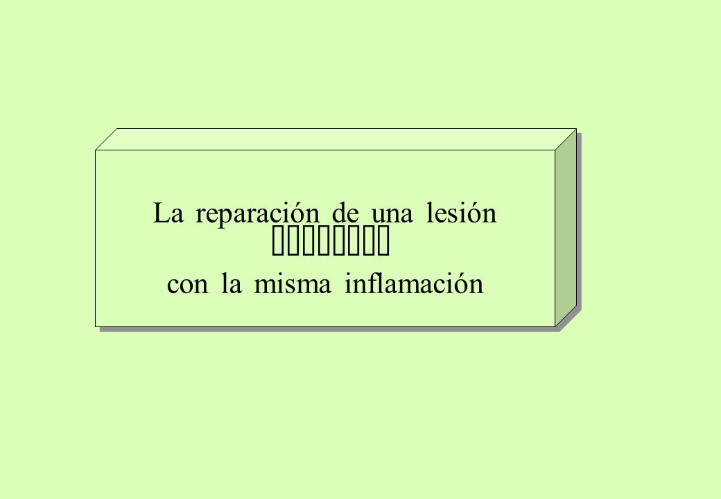 La reparación de una lesión comienza con la misma inflamación