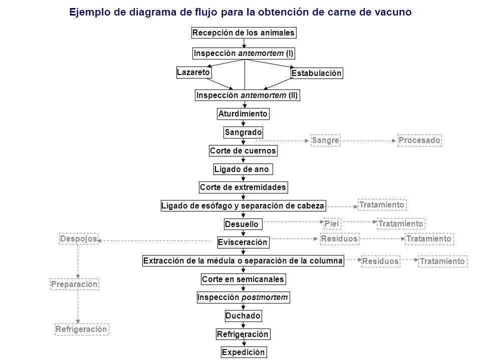 Ejemplo de diagrama de flujo para la obtención de carne de vacuno
