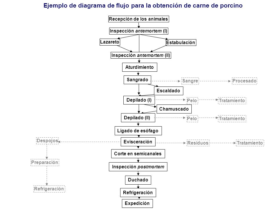 Ejemplo de diagrama de flujo para la obtención de carne de porcino
