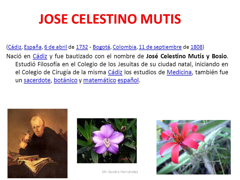 JOSE CELESTINO MUTIS (Cádiz, España, 6 de abril de Bogotá, Colombia, 11 de septiembre de 1808)