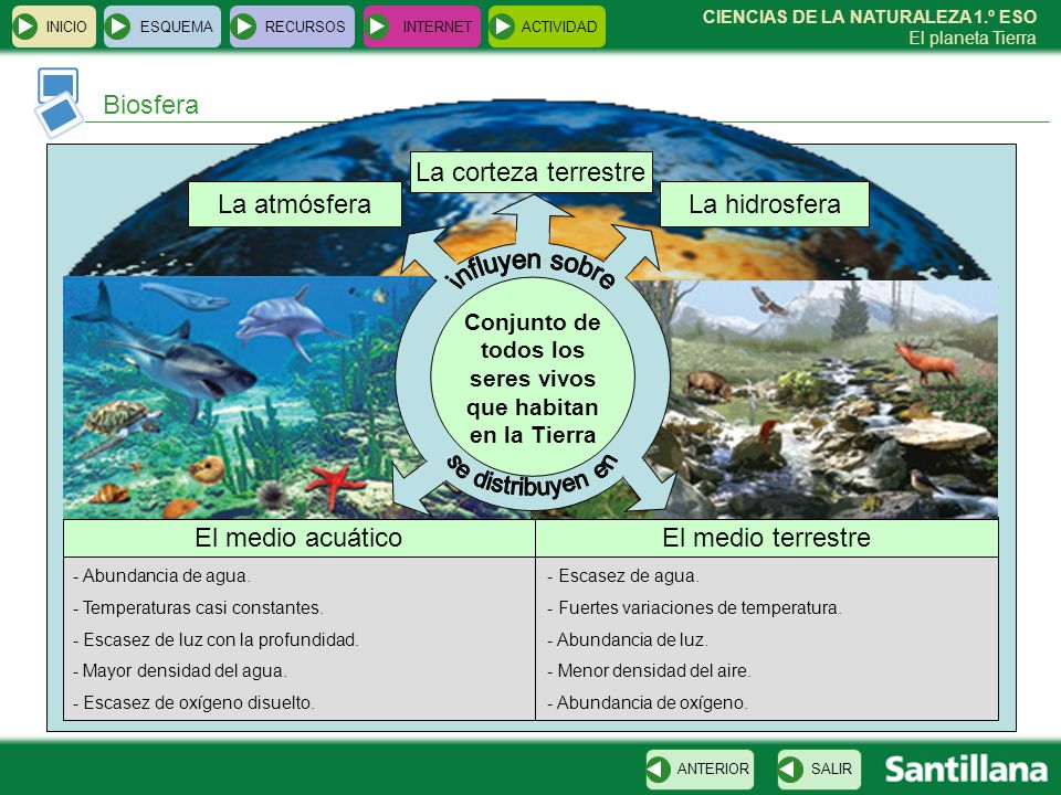 Conjunto de todos los seres vivos que habitan en la Tierra