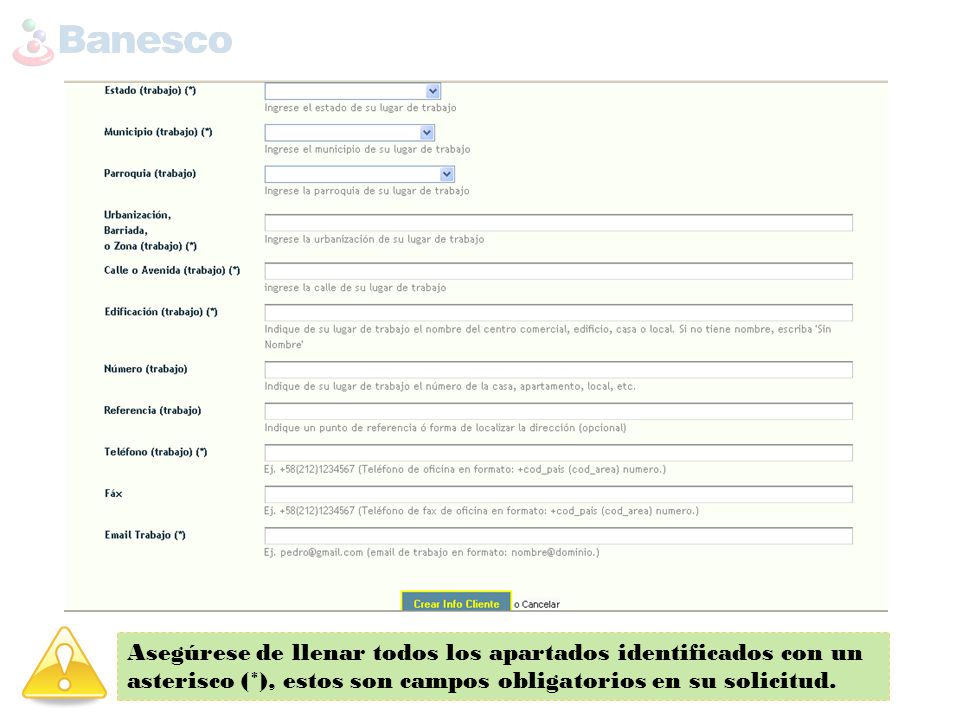 Asegúrese de llenar todos los apartados identificados con un asterisco (*), estos son campos obligatorios en su solicitud.